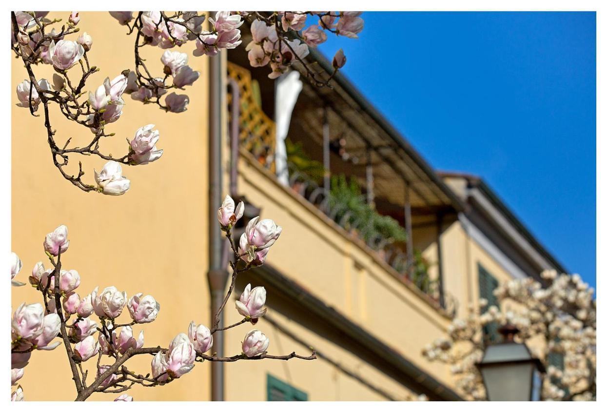 Casa San Girolamo Historic Flat With Cosy Terrace In Lucca'S City Centre Esterno foto