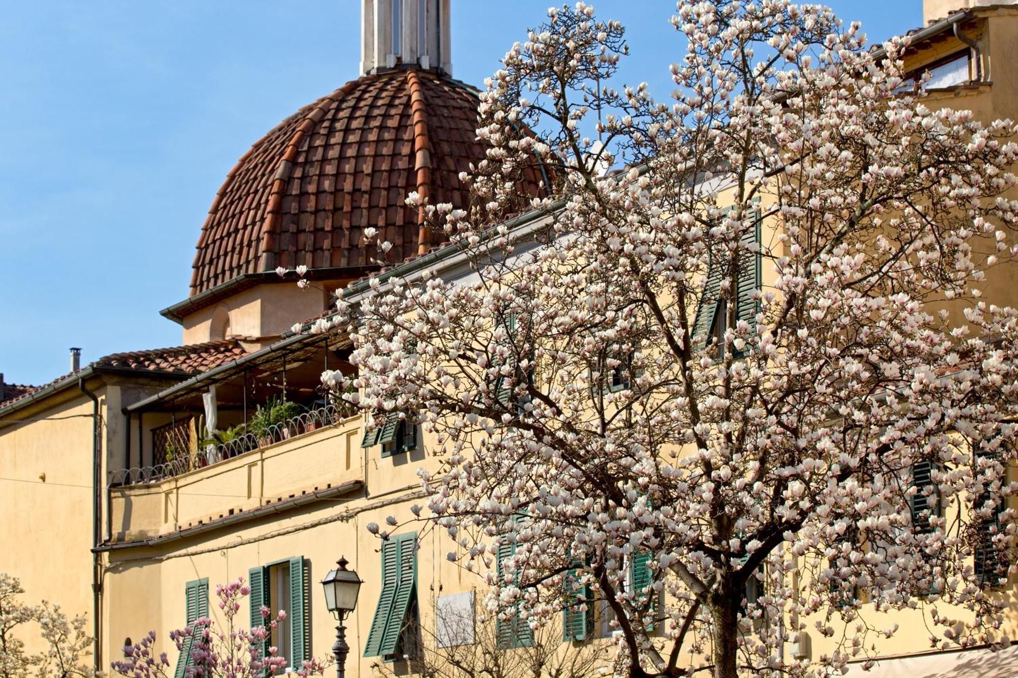 Casa San Girolamo Historic Flat With Cosy Terrace In Lucca'S City Centre Esterno foto
